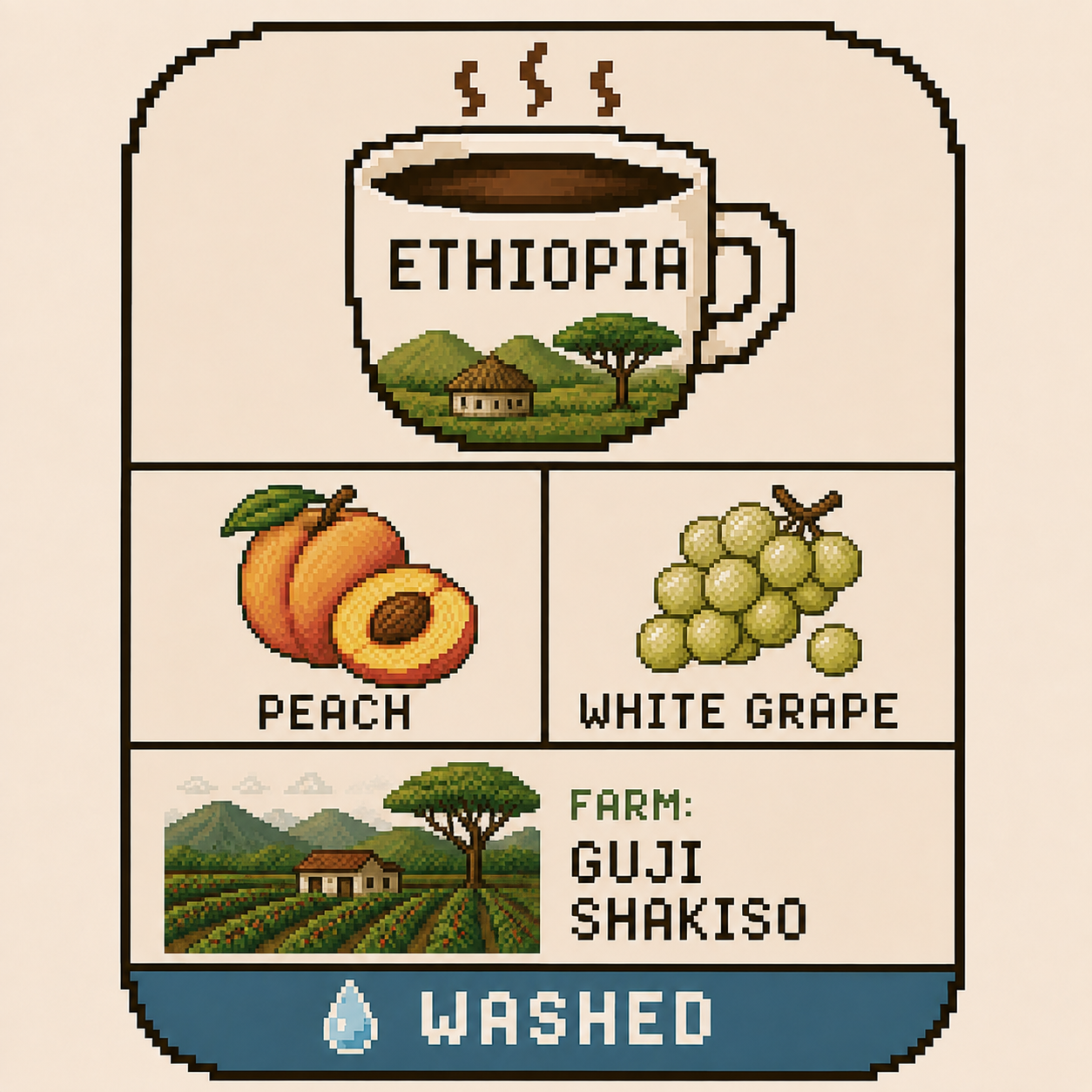Ethiopia - Guji Shakiso